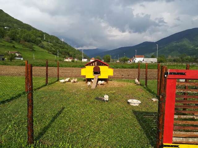 Дома для отпуска Vila Merak Gusinje-23
